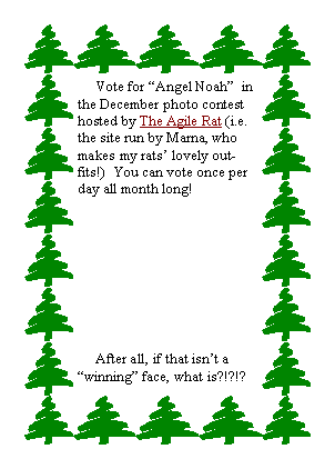 Text Box:      Vote for Angel Noah  in the December photo contest hosted by The Agile Rat (i.e. the site run by Marna, who makes my rats lovely outfits!)  You can vote once per day all month long!       After all, if that isnt a winning face, what is?!?!?