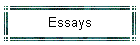 Essays